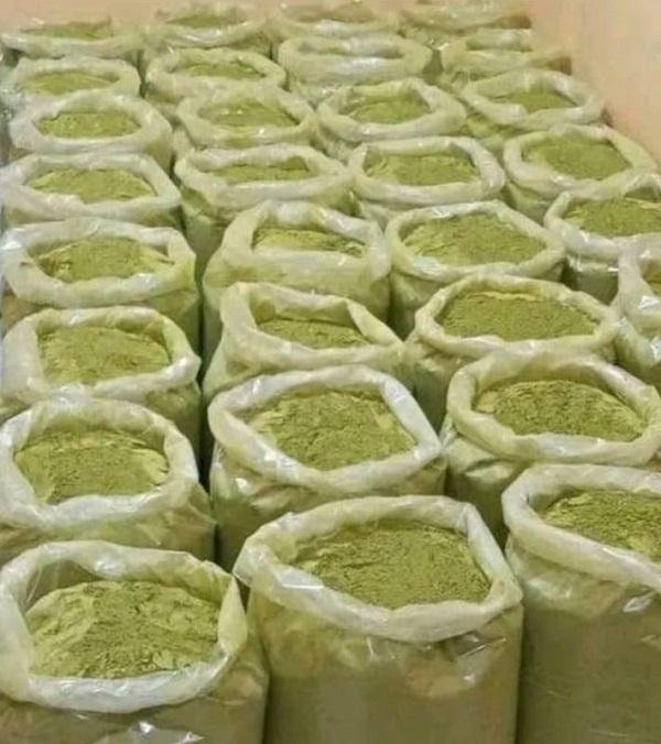 Madhavi Moringa High-Grade Bulk Packaging